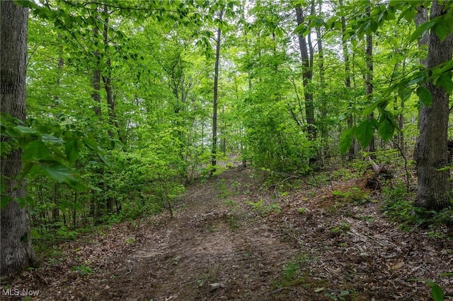 Epler Rd, Lowell, OH 45744