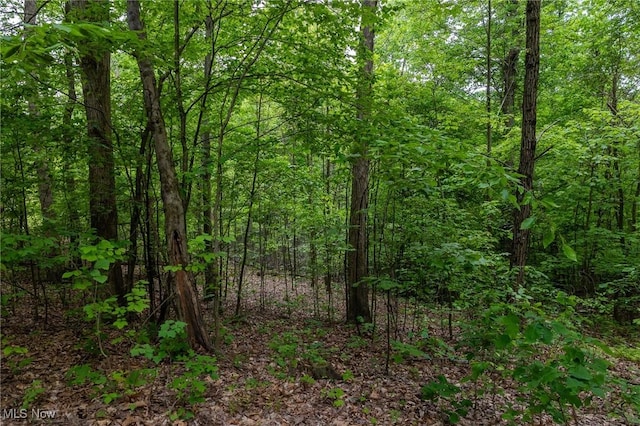 Epler Rd, Lowell, OH 45744