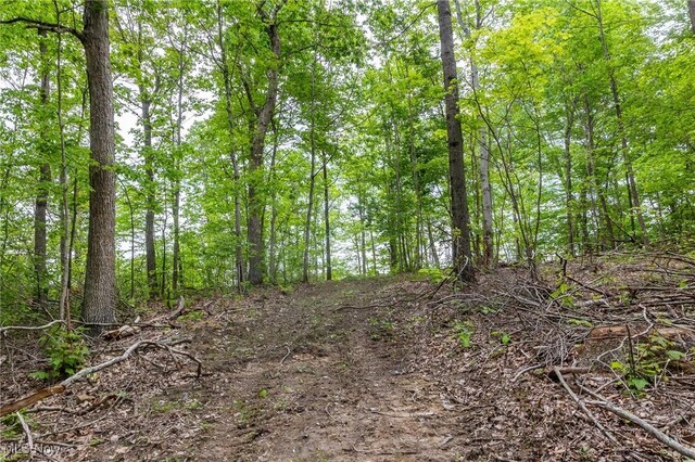 Epler Rd, Lowell, OH 45744