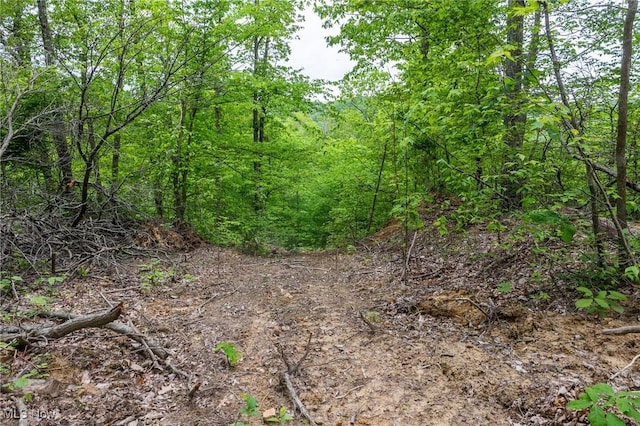 Epler Rd, Lowell, OH 45744