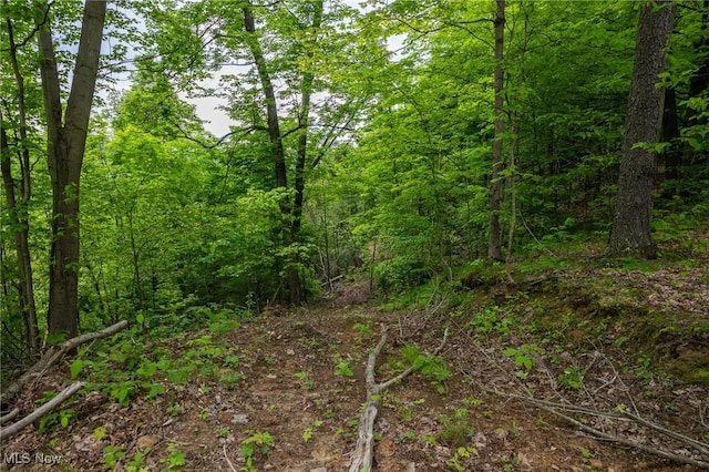Epler Rd, Lowell, OH 45744