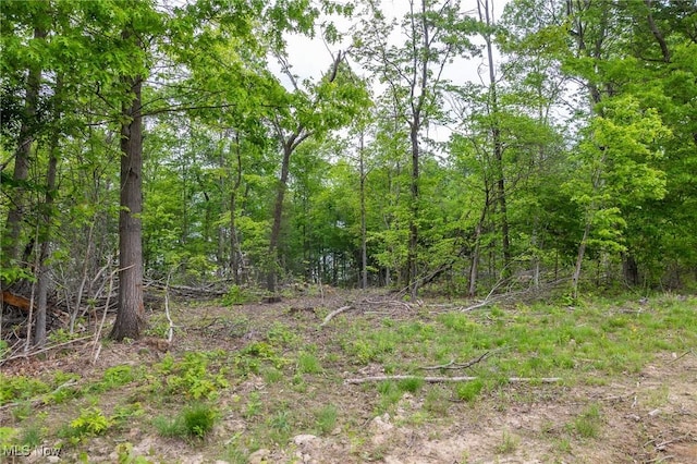 Epler Rd, Lowell, OH 45744