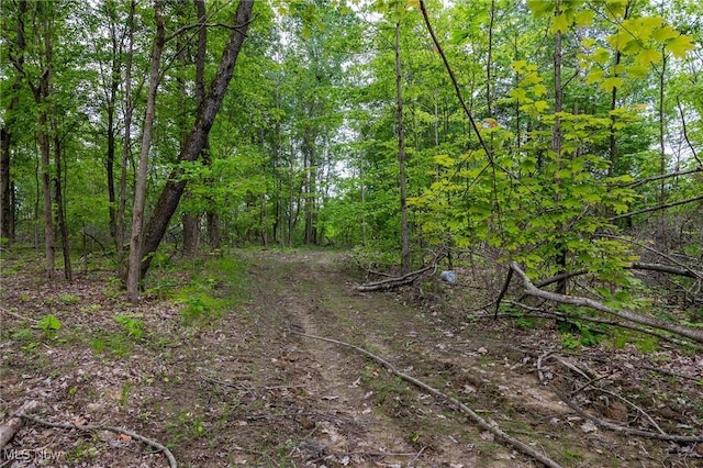 Epler Rd, Lowell, OH 45744