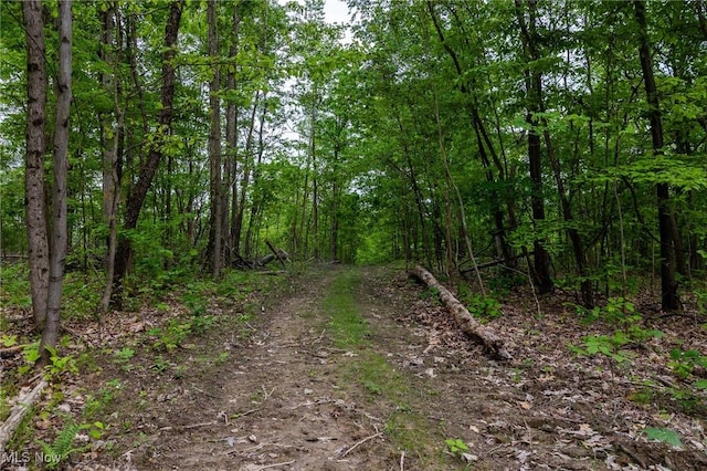 Epler Rd, Lowell, OH 45744