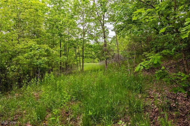 Epler Rd, Lowell, OH 45744