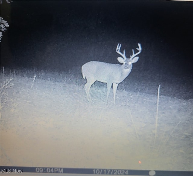 Epler Rd, Lowell, OH 45744