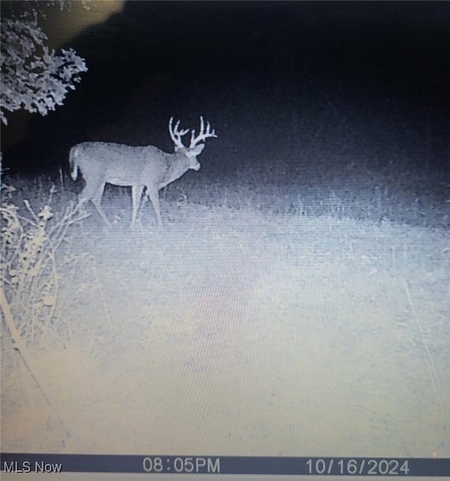 Epler Rd, Lowell, OH 45744