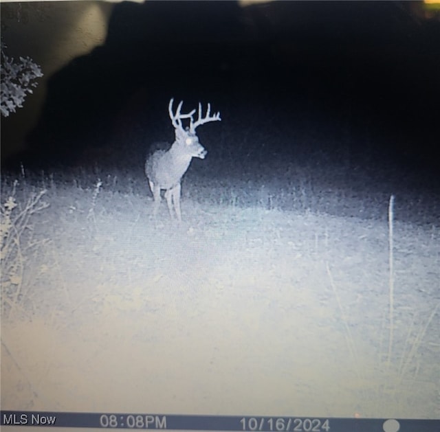 Epler Rd, Lowell, OH 45744