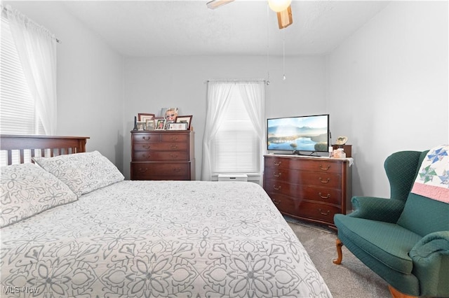 226 N 19th St, Sebring, OH 44672 - carpeted bedroom with a ceiling fan