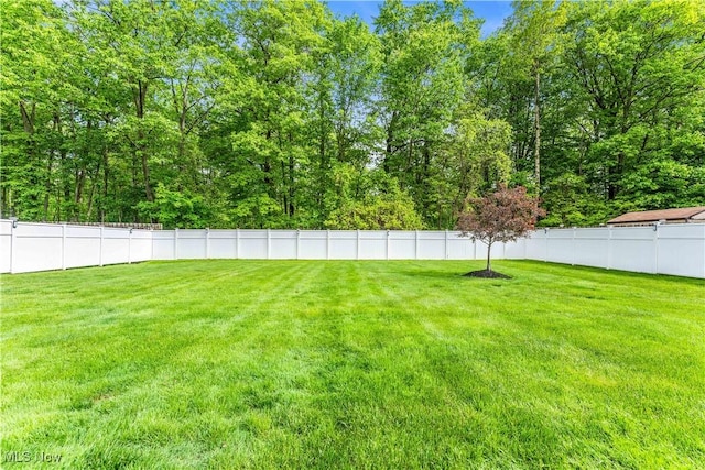 24527 Rushmore Dr, Richmond Heights, OH 44143 - photo 10