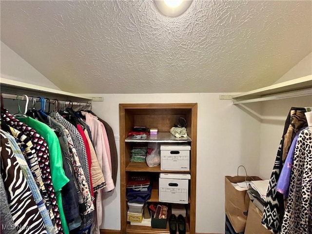 33939 Hanover Woods Trl, Solon, OH 44139 - spacious closet featuring vaulted ceiling