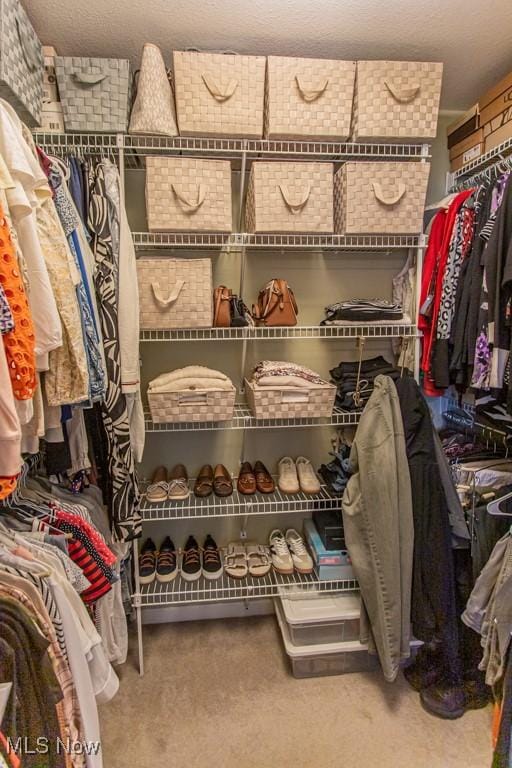 8121 Hitchcock Rd Unit 1, Youngstown, OH 44512 - walk in closet with carpet floors