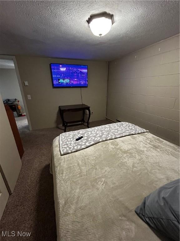 645 Arends Ridge Rd, Marietta, OH 45750 - bedroom featuring carpet, a textured ceiling, and concrete block wall