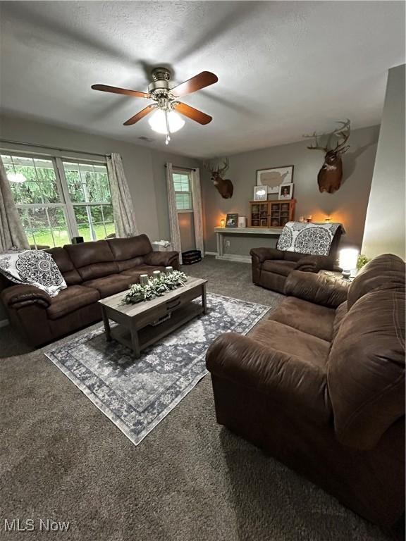 645 Arends Ridge Rd, Marietta, OH 45750 - carpeted living room featuring a ceiling fan