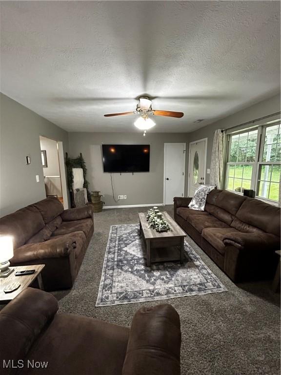 645 Arends Ridge Rd, Marietta, OH 45750 - living room featuring carpet, a textured ceiling, and ceiling fan