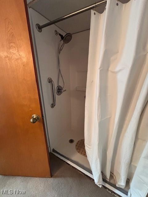 1445 E County Line Rd, Mineral Ridge, OH 44440 - full bathroom featuring a shower with shower curtain