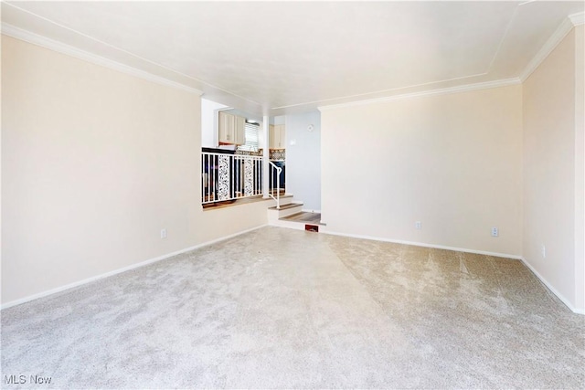 226 Cunningham Ln, Steubenville, OH 43952 - unfurnished room with carpet, ornamental molding, and baseboards