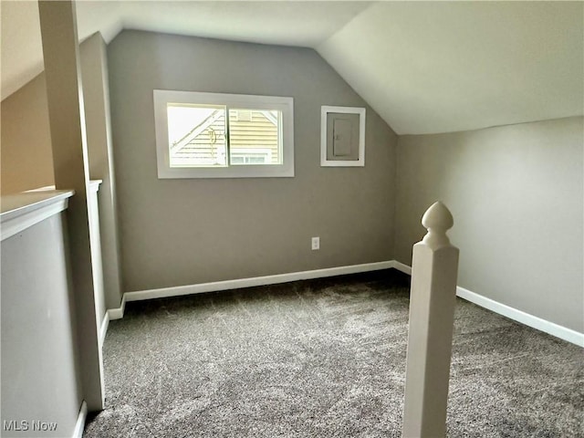356 N Edgehill Ave, Austintown, OH 44515 - additional living space featuring carpet, vaulted ceiling, and baseboards