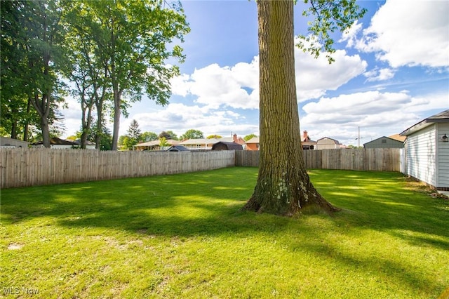 2464 Lyon Blvd, Poland, OH 44514 - view of yard