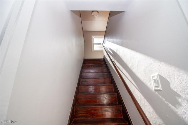 2464 Lyon Blvd, Poland, OH 44514 - view of stairway