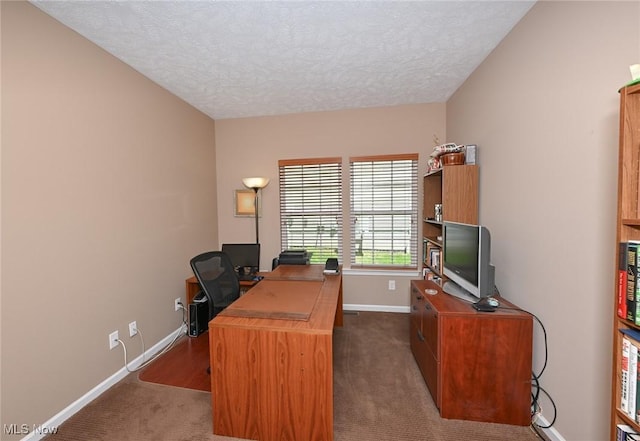 9339 Sasha Ct, Twinsburg, OH 44087 - office space featuring baseboards, a textured ceiling, and dark colored carpet