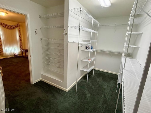 5228 Nashua Dr, Austintown, OH 44515 - walk in closet with carpet