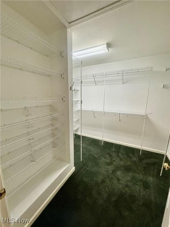 5228 Nashua Dr, Austintown, OH 44515 - spacious closet with dark carpet
