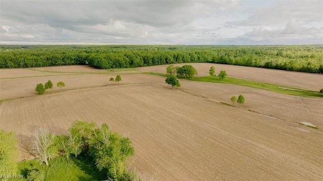 2953 State Route 225, Diamond, OH 44412 - aerial view of a forest