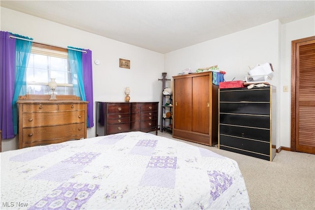 106 High St, Bloomingdale, OH 43910 - bedroom with carpet