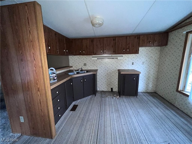 106 High St, Bloomingdale, OH 43910 - kitchen with a sink, extractor fan, light colored carpet, wallpapered walls, and dark brown cabinets