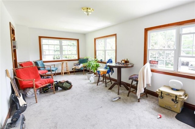3000AND2996 Kemble Ave, Coventry, OH 44319 - living area with carpet and baseboards