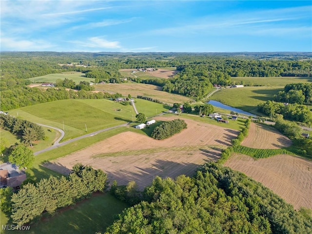 9135 Richey School Rd, Hanoverton, OH 44423 - aerial view of property's location with a nearby body of water and rural landscape
