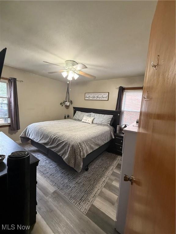 7511 Jameson Rd, Parma, OH 44129 - bedroom featuring multiple windows, wood finished floors, and ceiling fan