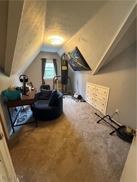 7511 Jameson Rd, Parma, OH 44129 - additional living space with a textured ceiling, lofted ceiling, and carpet floors