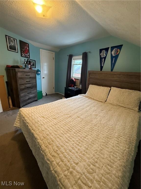 7511 Jameson Rd, Parma, OH 44129 - bedroom with a textured ceiling, carpet flooring, and lofted ceiling