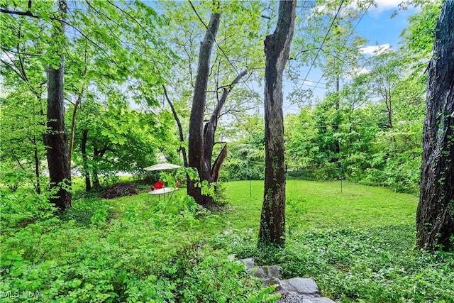 4493 Golfway Rd, South Euclid, OH 44121 - view of green lawn