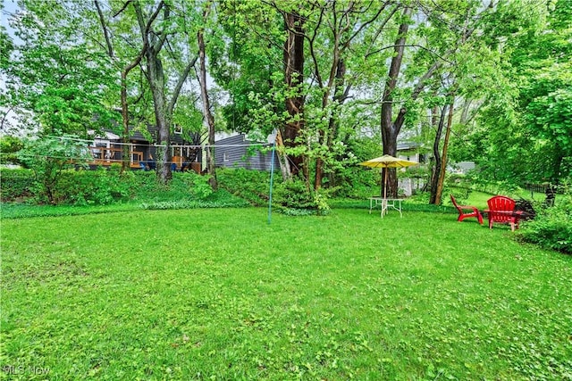 4493 Golfway Rd, South Euclid, OH 44121 - view of green lawn