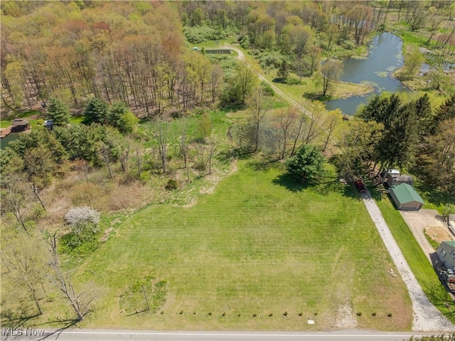 S Cleveland Massillon Rd, Clinton, OH 44216