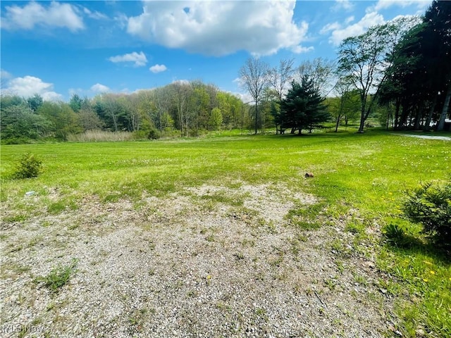 S Cleveland Massillon Rd, Clinton, OH 44216