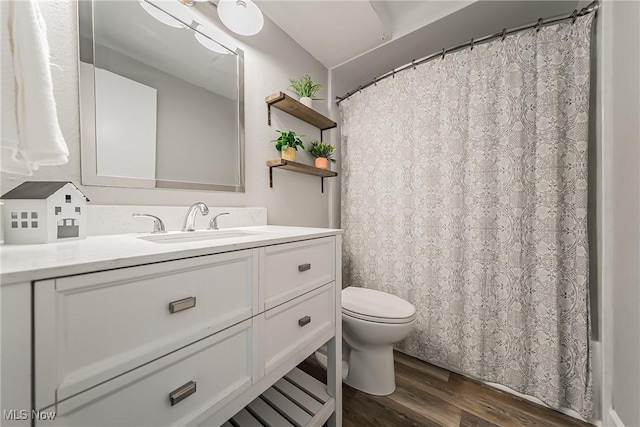 21517 Nottingham Dr, Fairview Park, OH 44126 - full bath featuring wood finished floors, toilet, vanity, and a shower with curtain