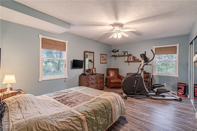 7170 Lafayette Rd, Medina, OH 44256 - bedroom featuring wood finished floors, multiple windows, a textured ceiling, and ceiling fan