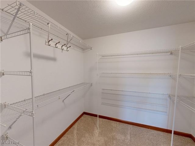 809 Fiddlers Crk, Painesville, OH 44077 - walk in closet with carpet