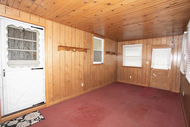 430 W Harvey St, Struthers, OH 44471 - carpeted entryway featuring wooden walls, wooden ceiling, and baseboards