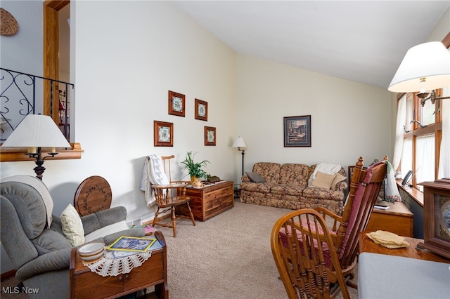 125 Beech St, Doylestown, OH 44230 - living room with carpet floors and high vaulted ceiling