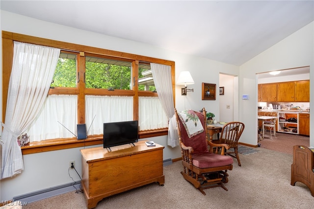 125 Beech St, Doylestown, OH 44230 - office featuring light colored carpet, baseboard heating, lofted ceiling, and baseboards
