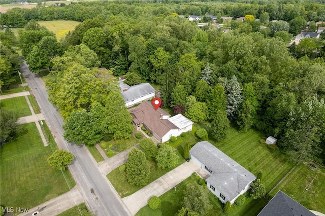125 Beech St, Doylestown, OH 44230 - aerial view of a forest