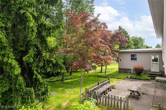 125 Beech St, Doylestown, OH 44230 - view of green lawn with a patio area