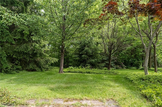 125 Beech St, Doylestown, OH 44230 - view of grassy yard with a view of trees