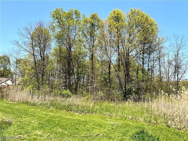 2135 Isabelle Dr, Girard, OH 44420 - photo 1