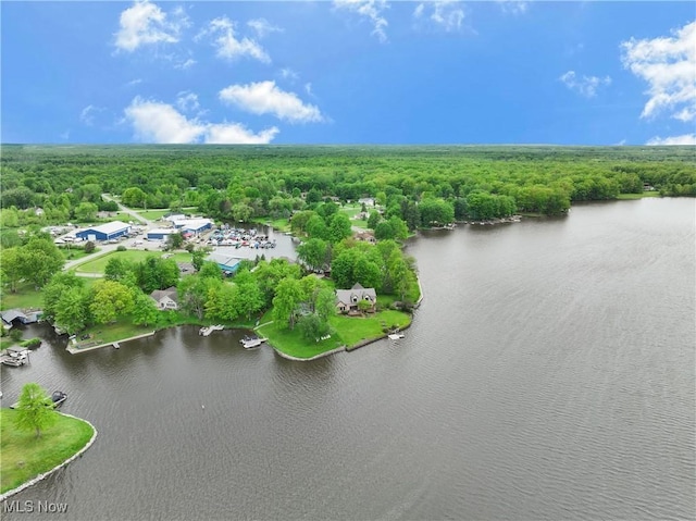 410 Geneva Pt, Roaming Shores, OH 44084 - photo 6